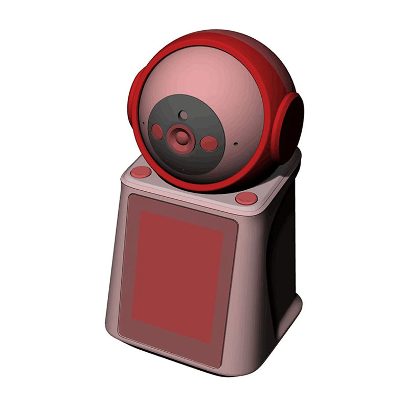 IP Security Cameras